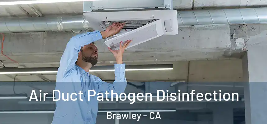  Air Duct Pathogen Disinfection Brawley - CA