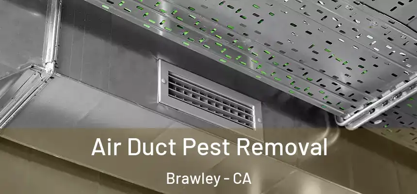  Air Duct Pest Removal Brawley - CA
