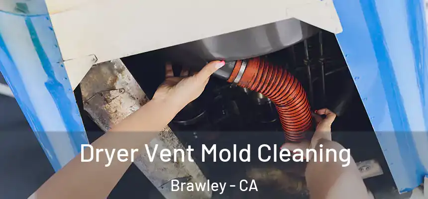  Dryer Vent Mold Cleaning Brawley - CA