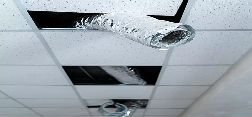 Our Air Duct Pet Hair Removal Services in Brawley, CA