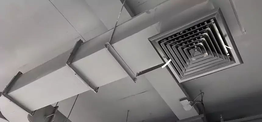 Restorative Allergy Relief Vent Cleaning – Coil, Blower & Housing Detail in Brawley