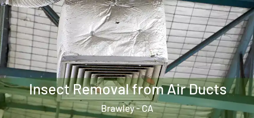  Insect Removal from Air Ducts Brawley - CA