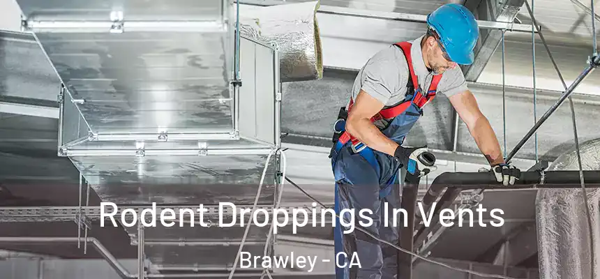  Rodent Droppings In Vents Brawley - CA