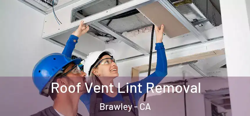 Roof Vent Lint Removal Brawley - CA