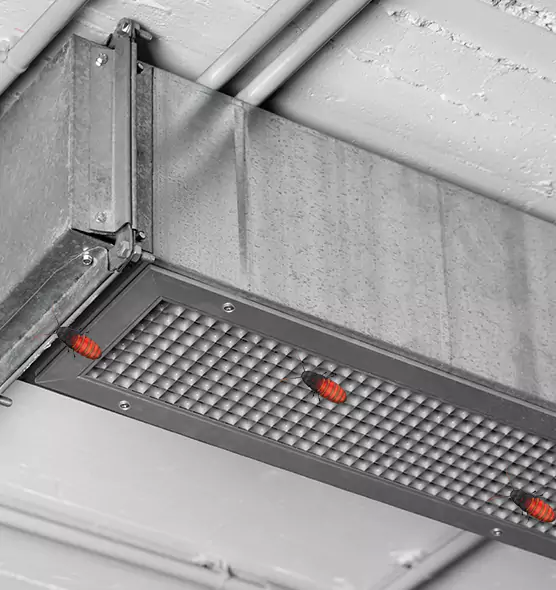 About Air Duct Cockroach Removal in Brawley, CA