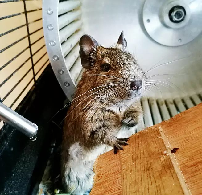 Why Homeowners & Businesses Trust Us Brawley, CA