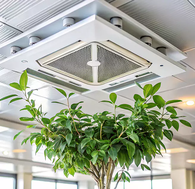 Why Homeowners & Businesses Trust Us in Brawley, CA